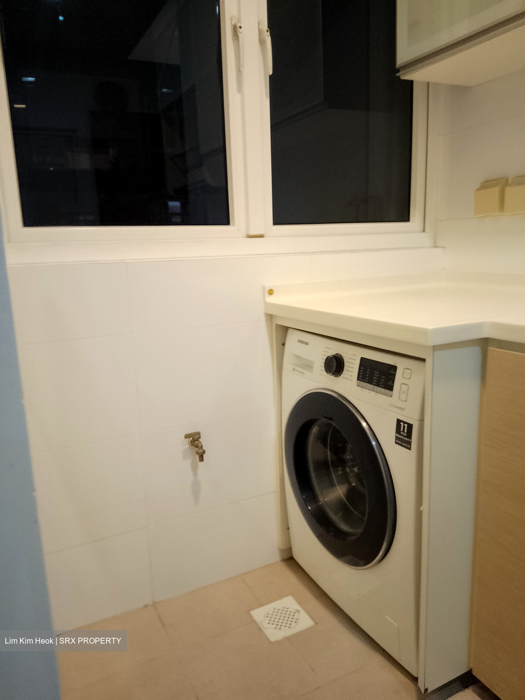 Palm Vista (D15), Apartment #576103451
